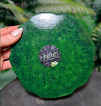 Croco Pond #2