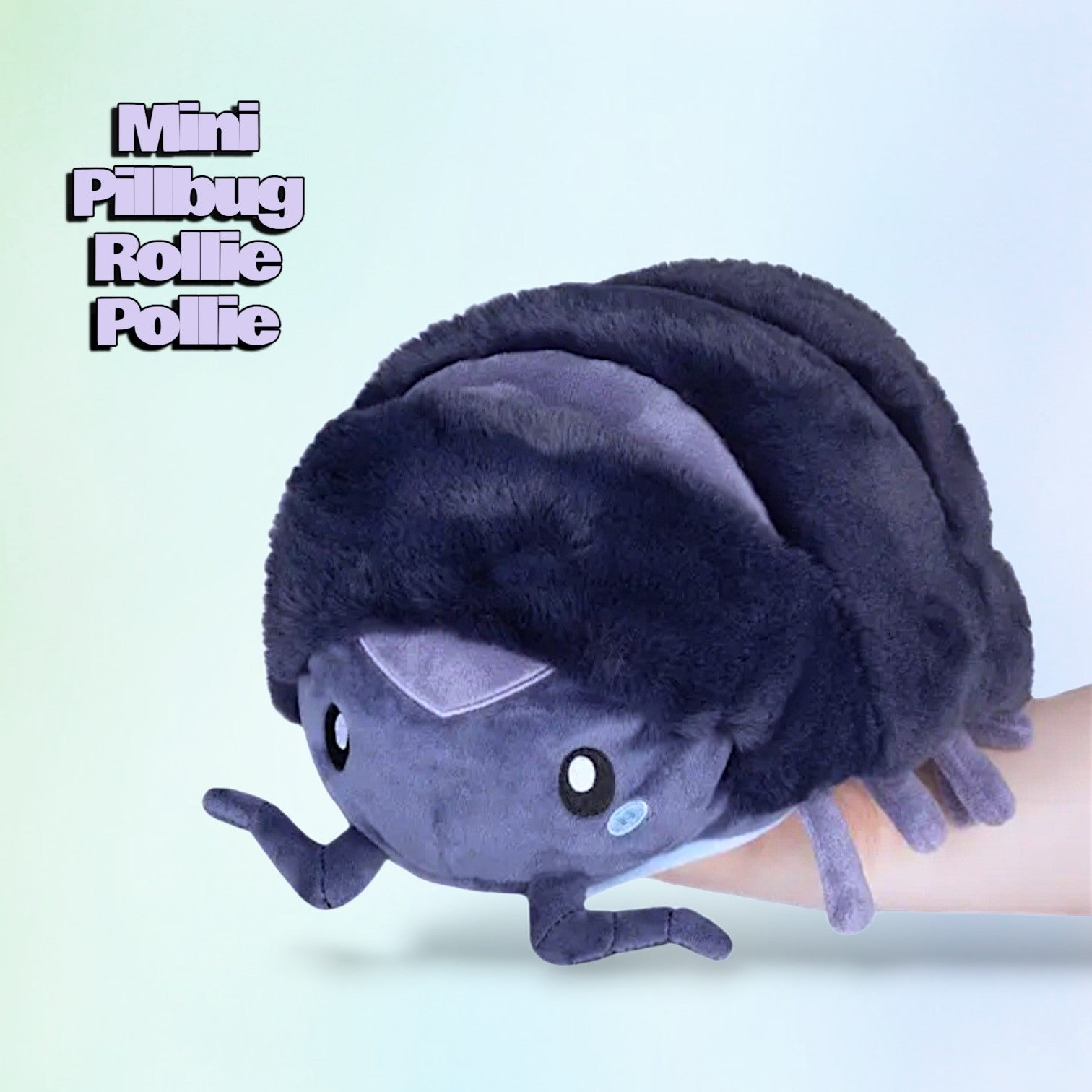Mini Pillbug Rollie Pollie