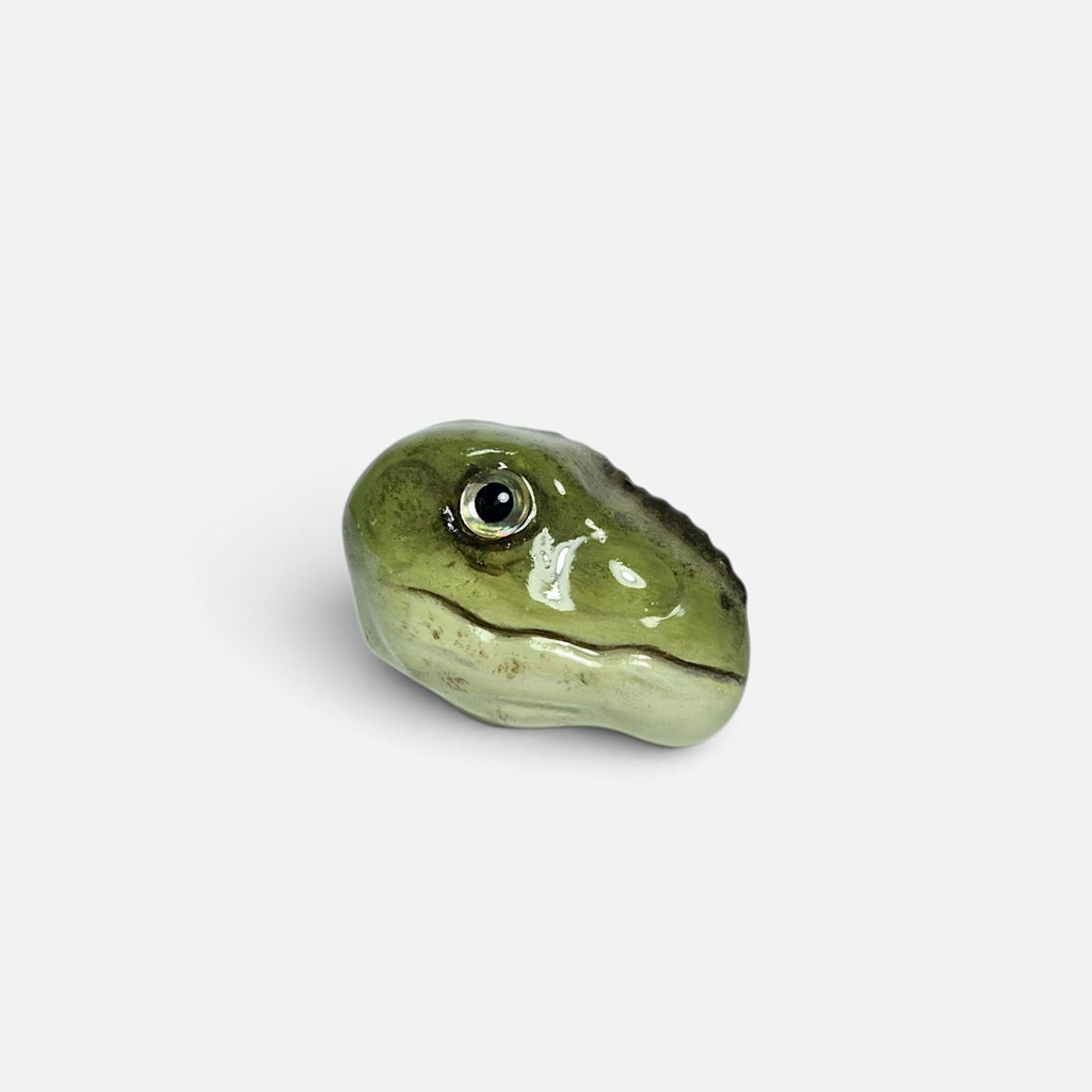 Raptor