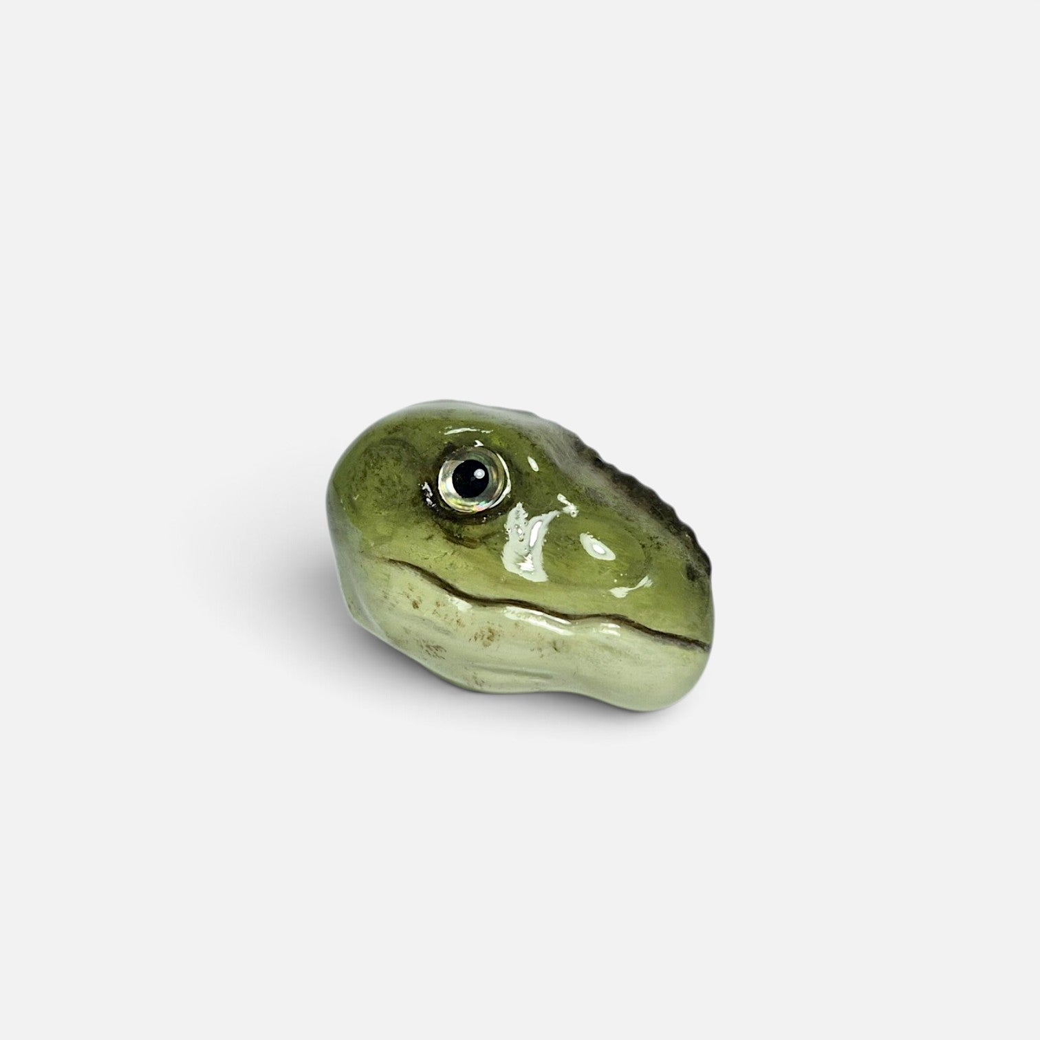 Raptor