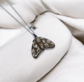 Peach Blossom Moth
