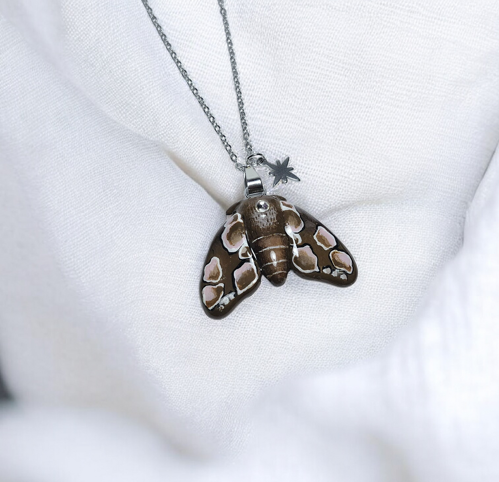Peach Blossom Moth