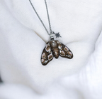 Peach Blossom Moth
