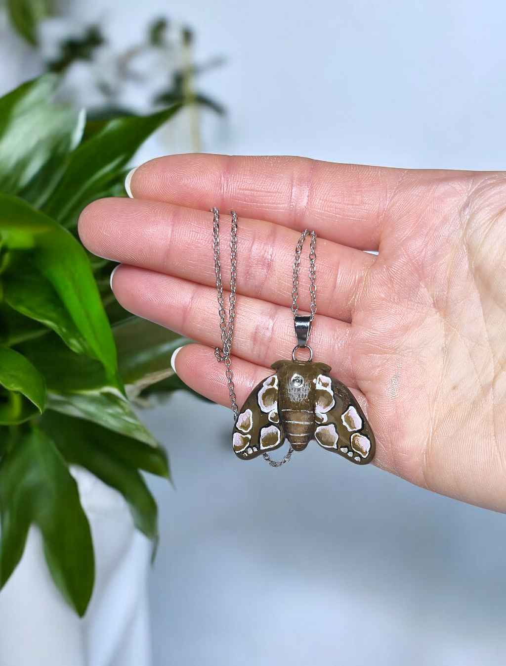 Peach Blossom Moth