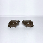 Rain Frog minifiguuri -20%