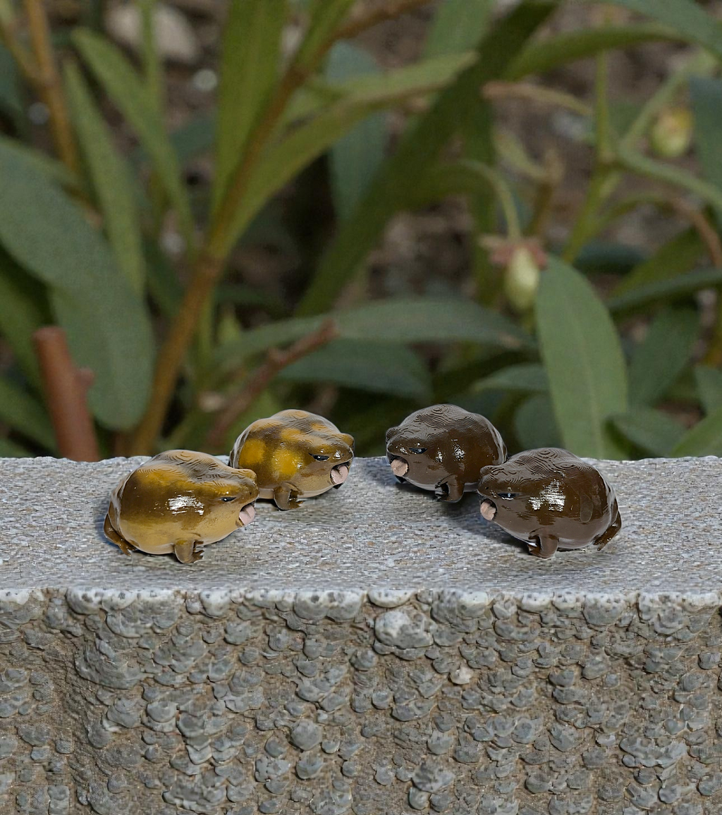Rain Frog minifiguuri -20%