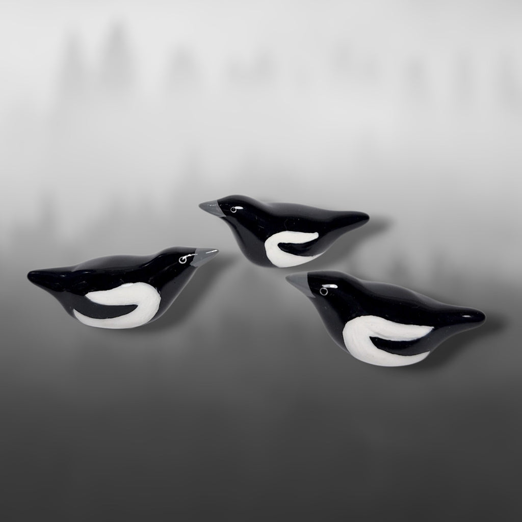 Harakka-magneetti
