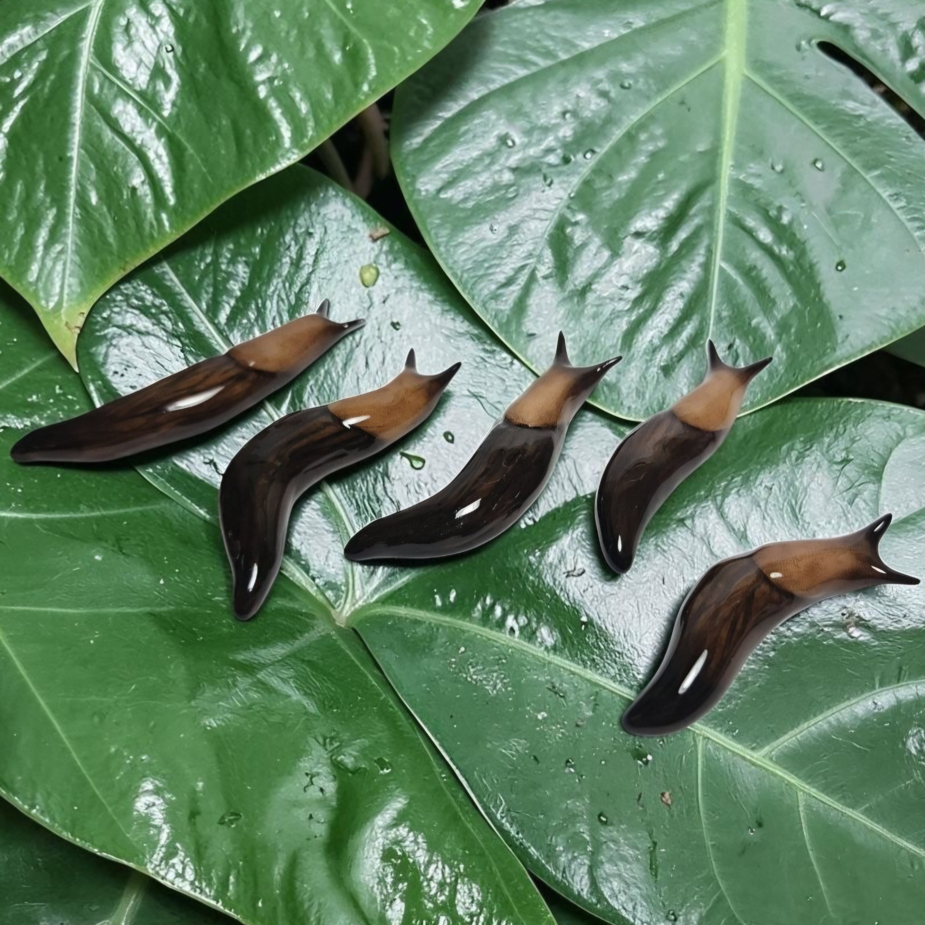 Slug