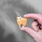 Cats Can