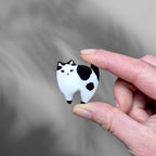 Cats Can